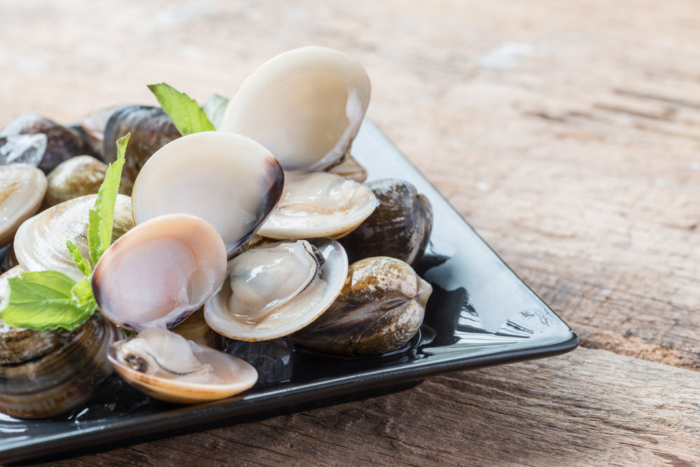 Clams in Shell