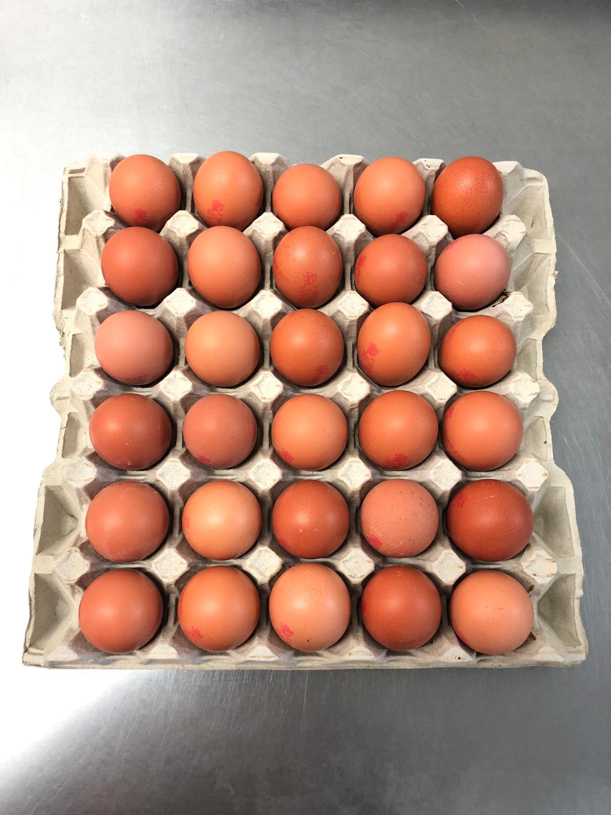 Eggs x 30 - Medium