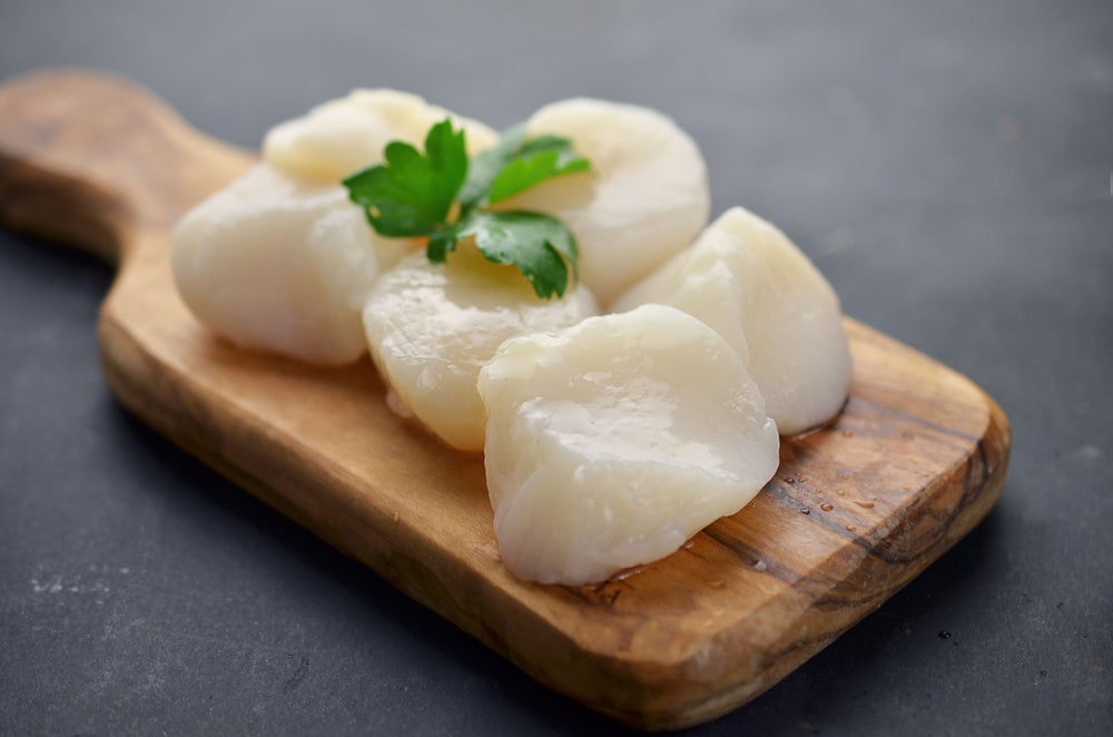 Frozen King Scallops