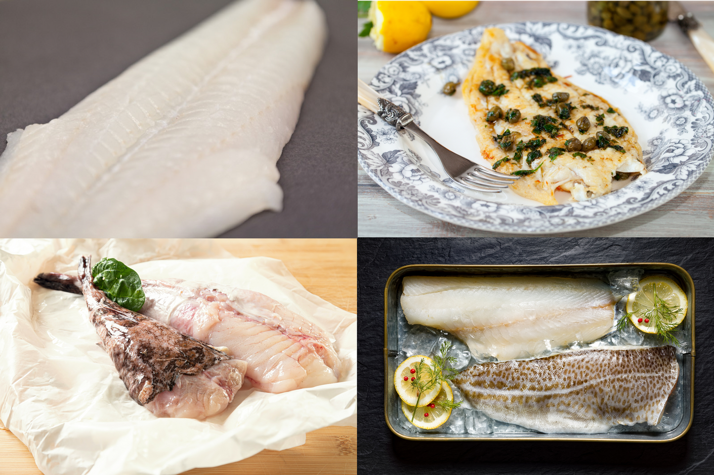 White Fish Box