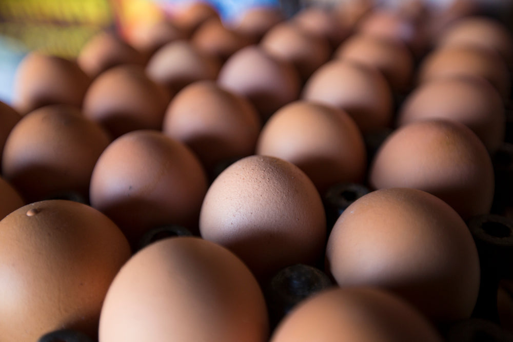 Eggs x 30 - Medium