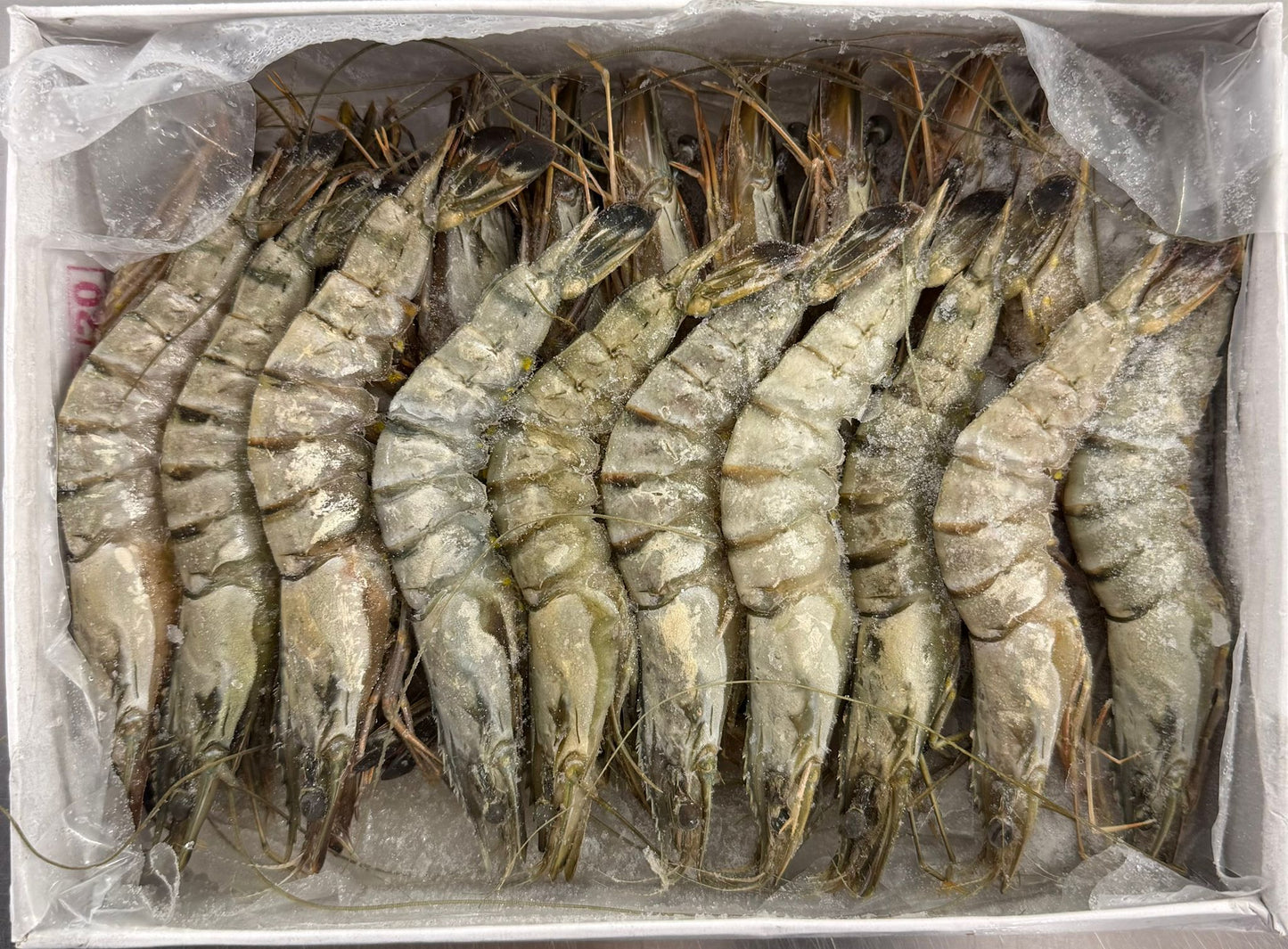 Frozen Black Tiger Prawns