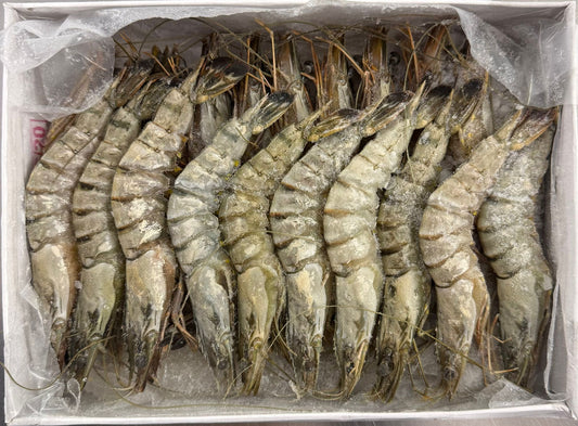 Frozen Black Tiger Prawns