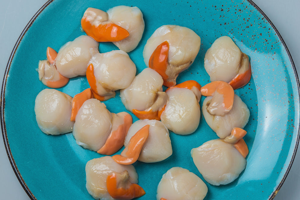 King Scallop Meat Scallops Kings Size (10 20) – Bringmaalu.lk