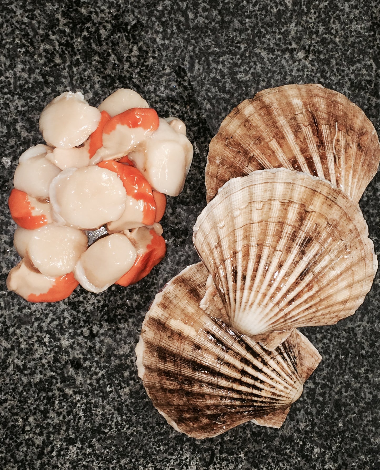 Fresh King Scallops